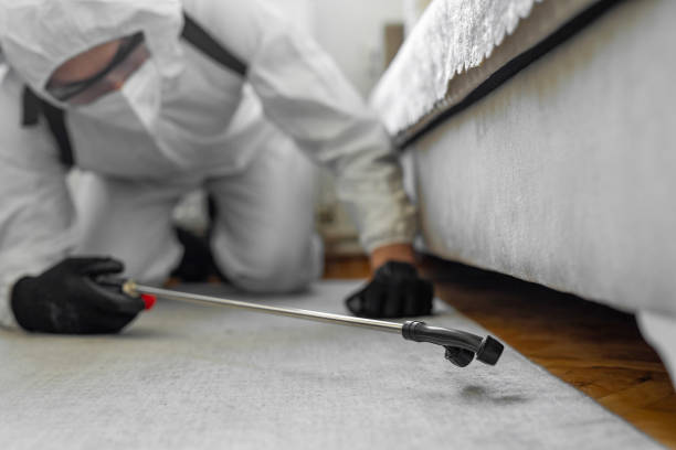 Professional Bed Bug Control technician working in Red Corral, CA