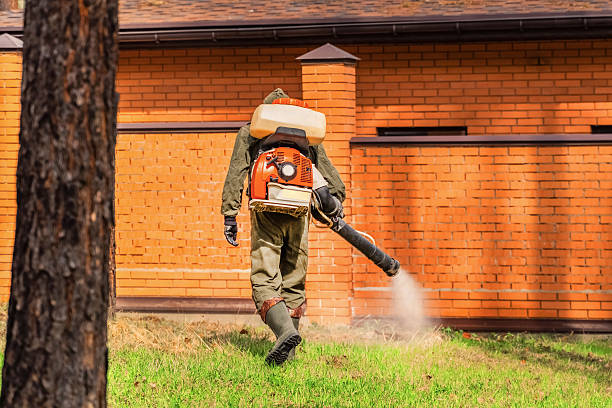 Trusted Termite Control service in Red Corral, CA - Nex Pest Control
